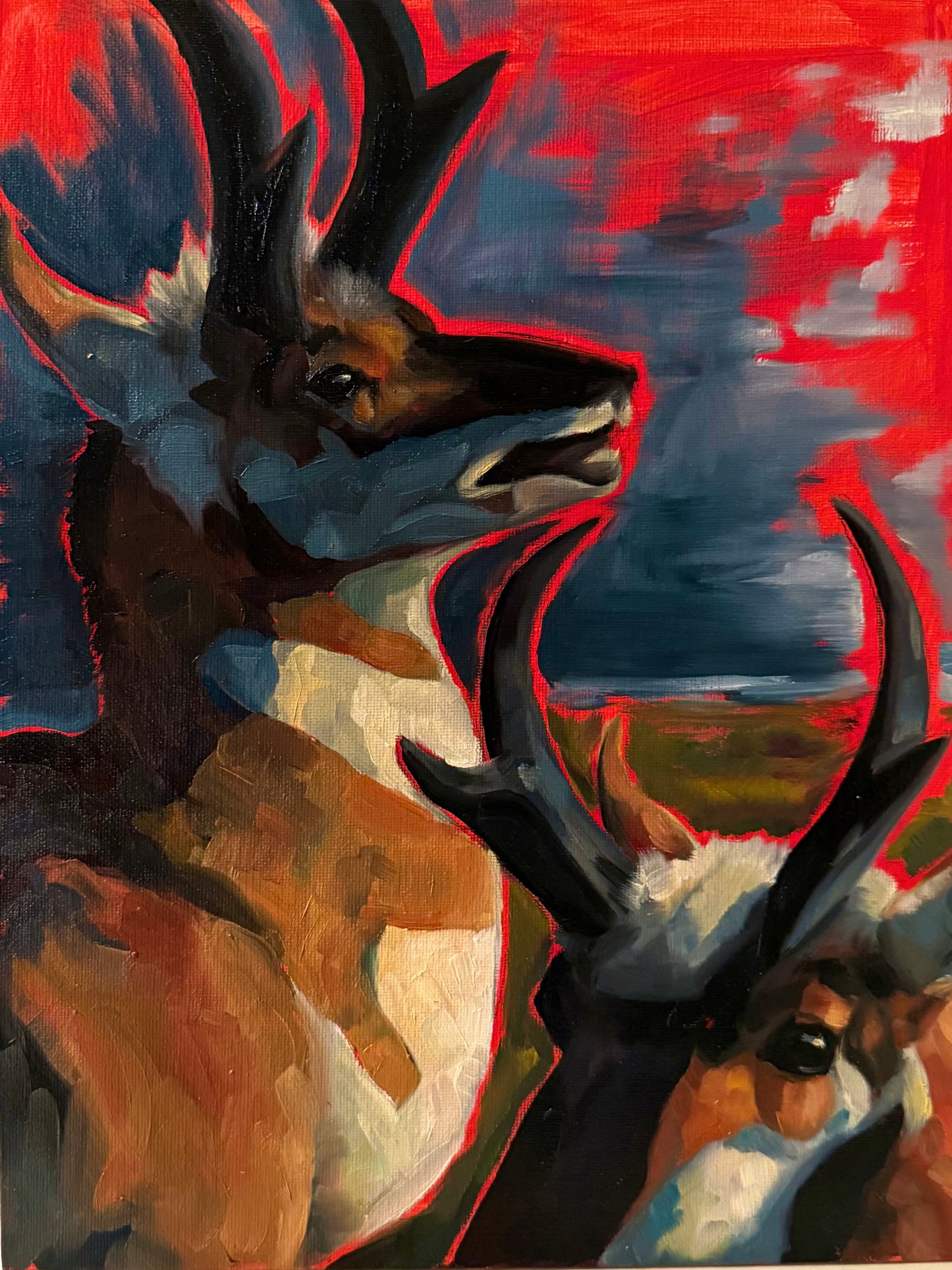 “Hindsight”