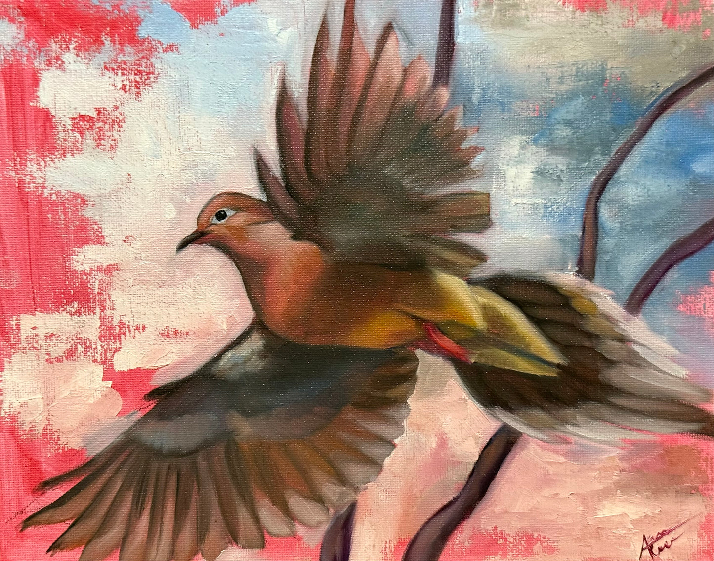 Mourning Dove