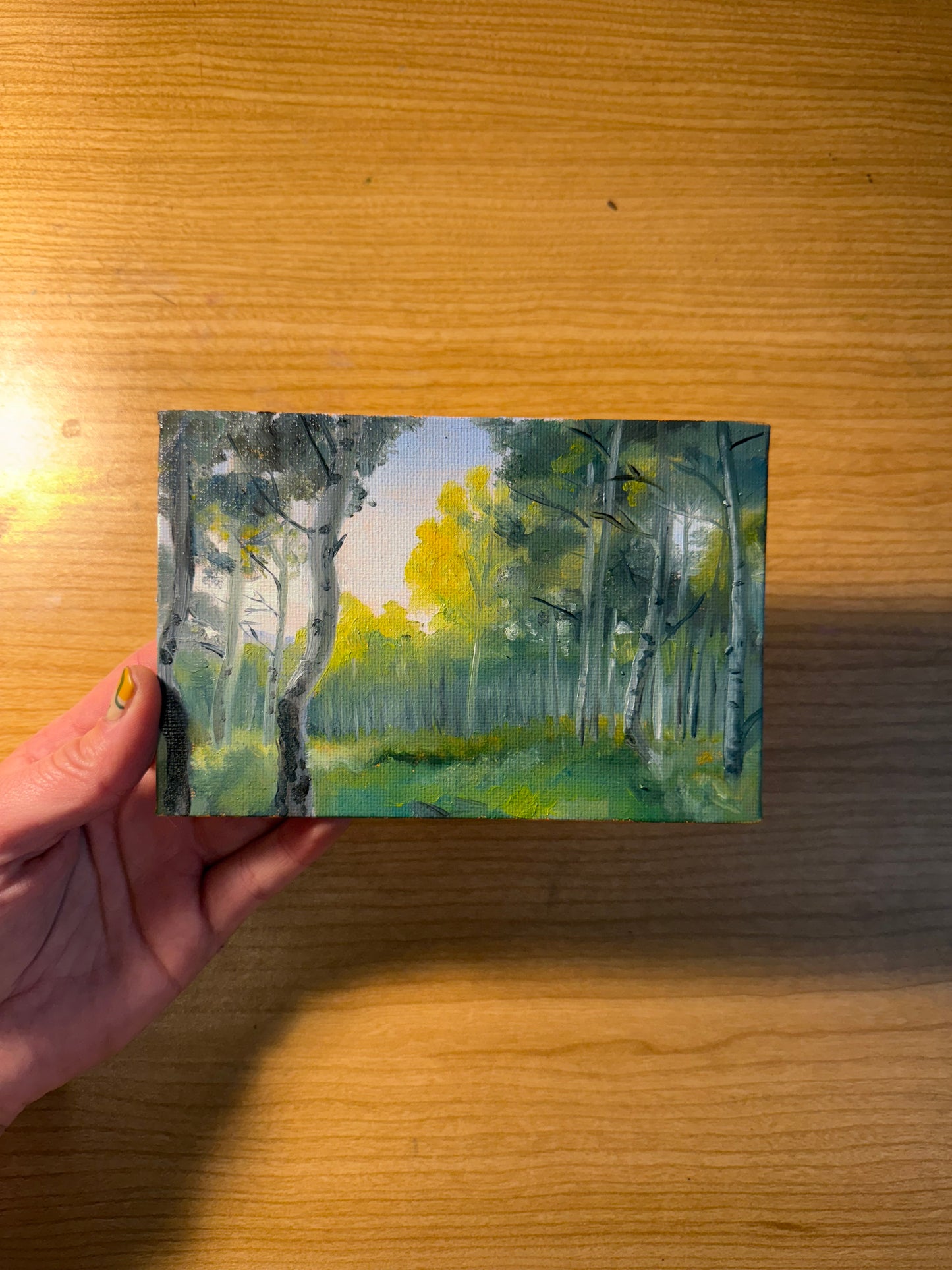 Mini Aspens