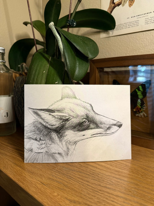 Fox Postcard