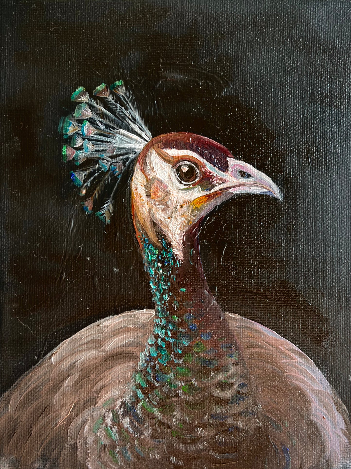 Peahen Princess